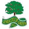Leverstock Green