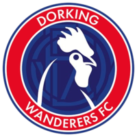 Dorking Wanderers U19