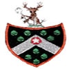 Wokingham Town